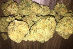 Orange Kush Marijuana